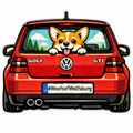 Norman GTI Acrylic Pin