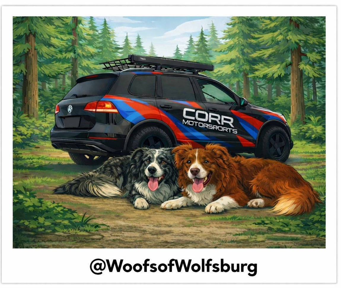 The Corr Dogs